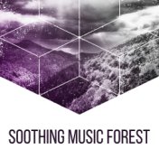 Soothing Music Forest – Nature Sounds for Relaxation, Classical Guitar, Birds Singing, Soft Melodies, Pure Mind, Sounds of Fores...