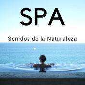 SPA: Sonidos de la Naturaleza, Música Ambiente, Masaje y Relajación, Yoga y Meditación, Relajar el Cuerpo y el Alma, Masoterapia