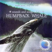 Sounds and Songs of the Humpback Whale