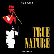 R&B City: True Nature, Vol. 2