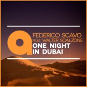 One Night in Dubai