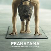 Pranayama, Meditation and Yoga Practice 2019