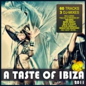 Taste Of Ibiza 2011 - Summer House Anthems