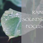 Rain Sounds Focus