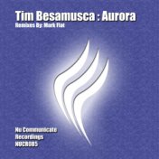 Tim Besamusca