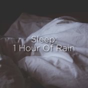 Sleep: 1 Hour Of Rain