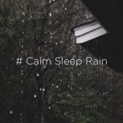 # Calm Sleep Rain