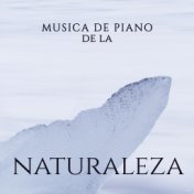 Musica de Piano de la Naturaleza – Musica Relajante para Descansar, Spa, Meditacion, Sueno, Desestresarse y Otras Formas de Rela...