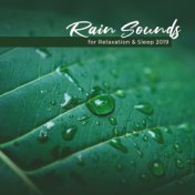 Rain Sounds for Relaxation & Sleep 2019