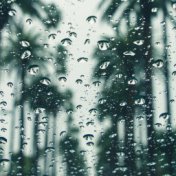 36 Gentle Spring Rain Sounds for Your Relaxation (Loop)