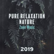 Pure Relaxation Nature Zone Music 2019