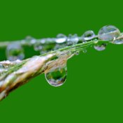 Rain Droplet Tracks: Snowy Rainfall