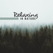 Relaxing in Nature