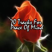 70 Tracks For Peace Of Mind