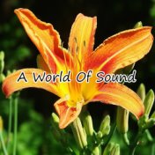 A World Of Sound