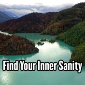 Find Your Inner Sanity