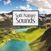 Soft Nature Sounds – Easy Listening, Mind Relaxation, Healing Therapy with Nature Sounds, Music to Calm Down