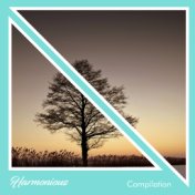 #16 Harmonious Compilation for Meditation