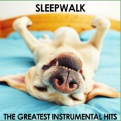 Sleepwalk: The Greatest Instrumental Hits