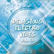 Deligious Electro Vibes, Vol. 3