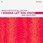 I Wanna Let You Know (Sebb Junior Remixes)