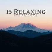 15 Relaxing Chants of Nature: 2019 New Age Music with Nature Sounds for Many Relaxing Occasions Like Rest at Home After Long Day...