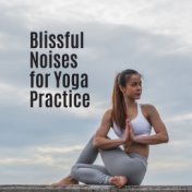 Blissful Noises for Yoga Practice: 2019 New Age Music Collection, Deep Ambient & Nature Songs for Meditation & Full Body & Mind ...