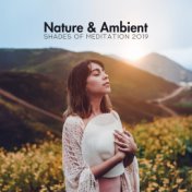 Nature & Ambient Shades of Meditation 2019