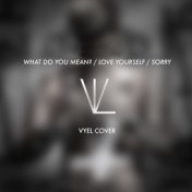 What Do You Mean? / Love Yourself / Sorry