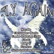 Fly Again Riddim