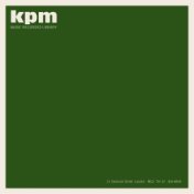 Kpm 1000 Series: A Distinctive Approach