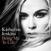 Bring Me To Life (US)
