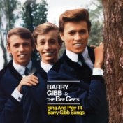 The Bee Gee's Sing & Play 14 Barry Gibb Songs