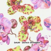 Запах орхидеи
