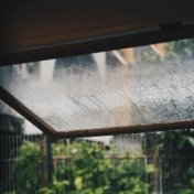 40 Enlivening Rain Sounds for Meditation and Healing
