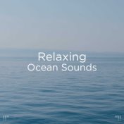 "!! Relaxing Ocean Sounds "!!