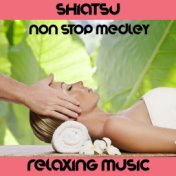 Shiatsu Medley: The Tao of Love / The Will of the Wind / Madame Curie / Camilla / Mountain Dust / Eric's Theme / I Hear You Now ...