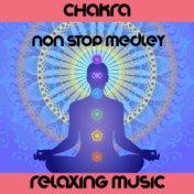 Chakra Medley: Celtic Rainbow / Still Waters / Mist on the Mountain / The Old Woman of Beare / Kilkenny Lullaby / Waterford Lame...