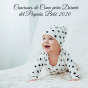 Canciones de Cuna para Dormir del Pequeño Bebé 2020