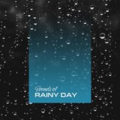 Sounds of Rainy Day: 2020 Relaxing Ambient Music with Delicate Sounds of Rain, Best Background for Relax, Rest and Calm Down