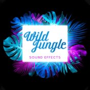 Wild Jungle Sound Effects