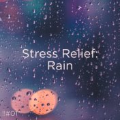 !!#01 Stress Relief: Rain