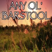 Any Ol' Barstool - Tribute to Jason Aldean