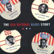 The USA Records Blues Story
