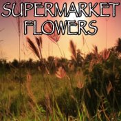 Supermarket Flowers - Tribute to Ed Sheeran