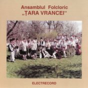 Ansamblul Folcloric (Țara Vrancei, România)