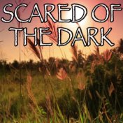 Scared Of The Dark - Tribute to Steps