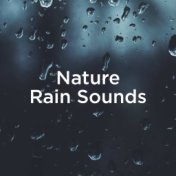 Nature Rain Sounds