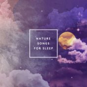 Nature Songs for Sleep: 2019 White Noise and Ambient Nature Music Set for Your Perfect Sleep, Total Relaxation and Rest
