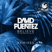 Believe (feat. Shawnee Taylor & MTS) (Remixes)